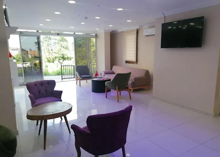 Отель Elisa Park *