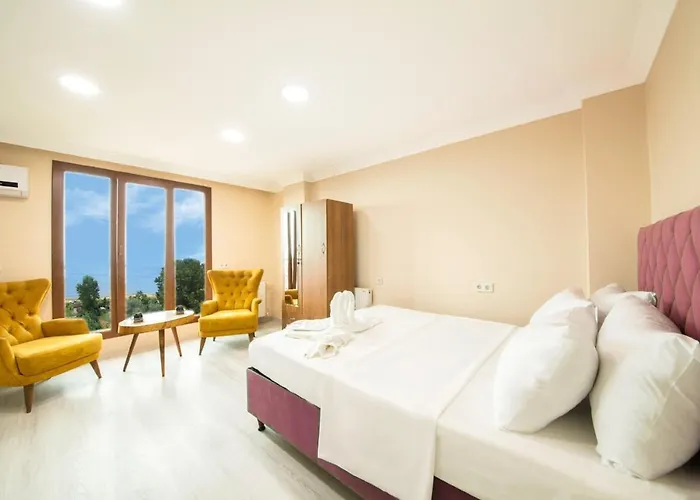 Отель Elisa Park