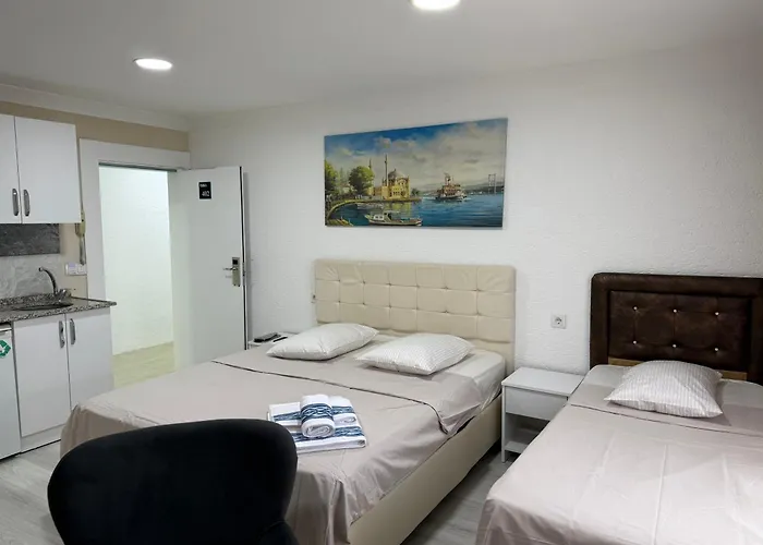 Отель Elisa Park